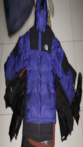 The north face puffers