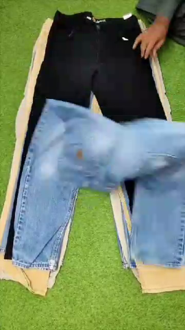 carhartt and dickies pants