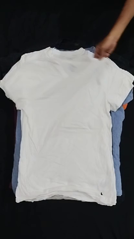 Ralph Lauren T-shirts