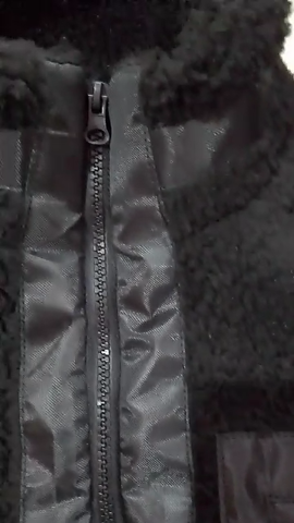 Carhartt Sherpa Jacket