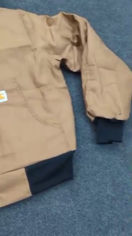 Veste révisée à capuche Carhartt
