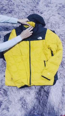 the north face jacket puffer