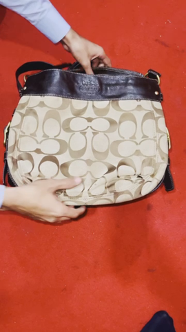 Coach bags (Condition - like new - no stains)