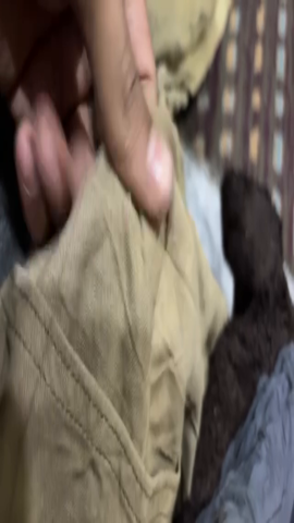 Carhartt / Dickies Pants