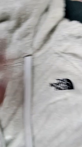 Veste en polaire The North Face