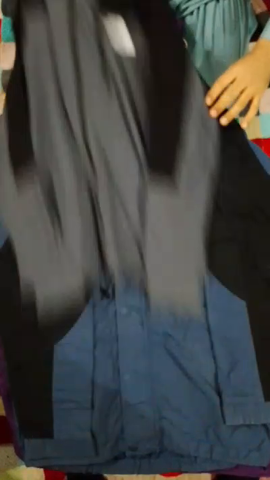 The North Face Puffer jacket