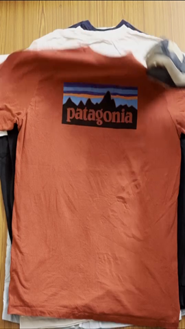 Patagonia Plain T-shirt