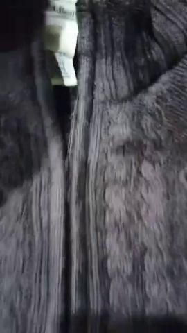 LL Bean Crewneck Sweatshirt