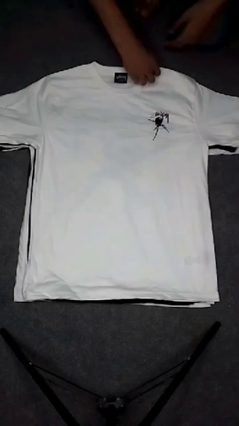 Stussy Plain T-shirt