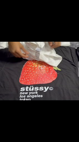 Stussy Plain T-Shirt