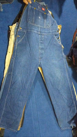 Carhartt Workwear Dungaree