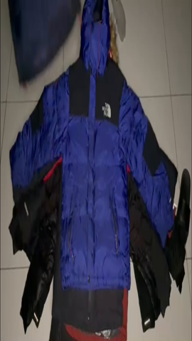 The North Face Puffer coat