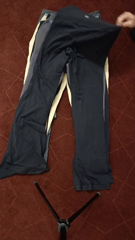 Lululemon Active Legging