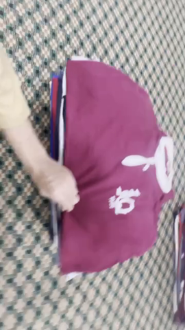 Unbranded Rugby shirt