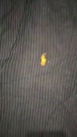 Ralph Lauren 1/4 Zip