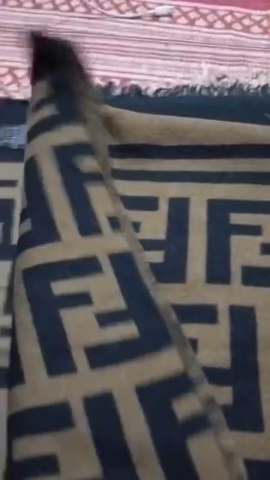 Louis Vuitton Scarve