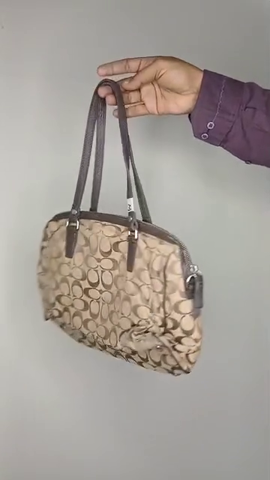 Coach Small handbag
