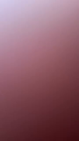 The North Face Denim jacket