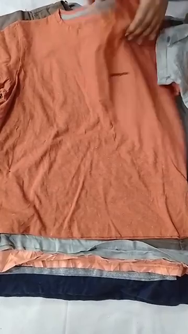 Patagonia Plain T-shirt