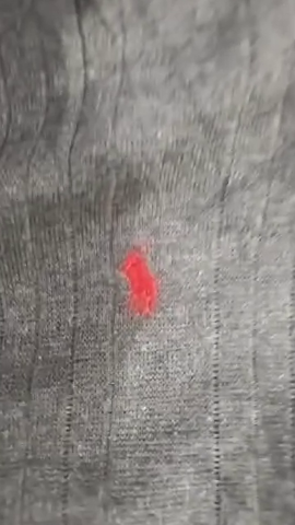 Ralph Lauren Polo shirt