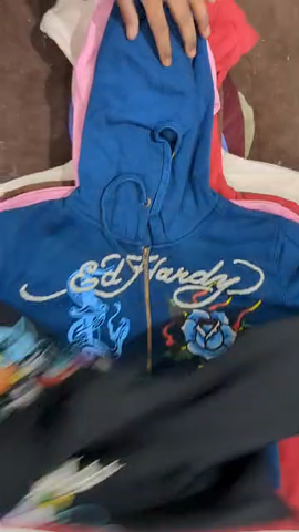 Ed Hardy Hoodie