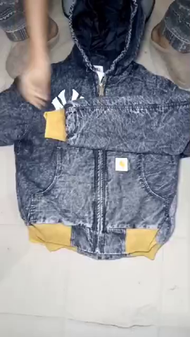 Carhartt Windbreaker