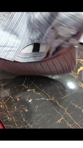 Ralph Lauren Baseball Cap