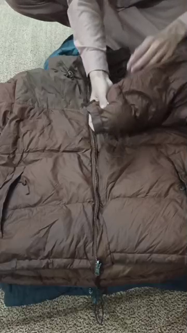 The North Face Puffer jacket