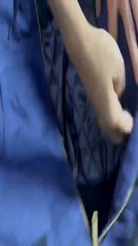 Carhartt Workwear Hoodie