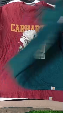 Carhartt Workwear shirt