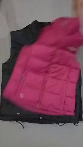 The North Face Denim Vest