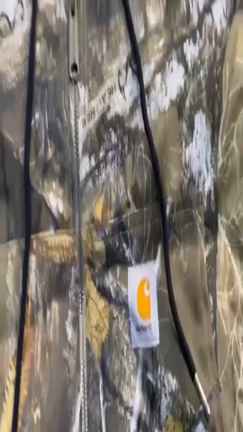 Carhartt Cargo short