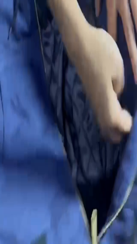 Carhartt Workwear shirt